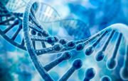 COPD Exacerbations Linked to This Protein