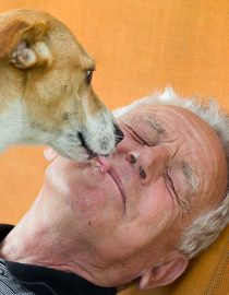 How Pets Can Help Those With COPD How Pets Can Help Those With COPD