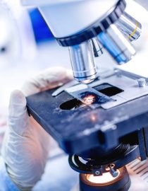Research Finds a Link Between COPD and Psoriasis Research Finds a Link Between COPD and Psoriasis